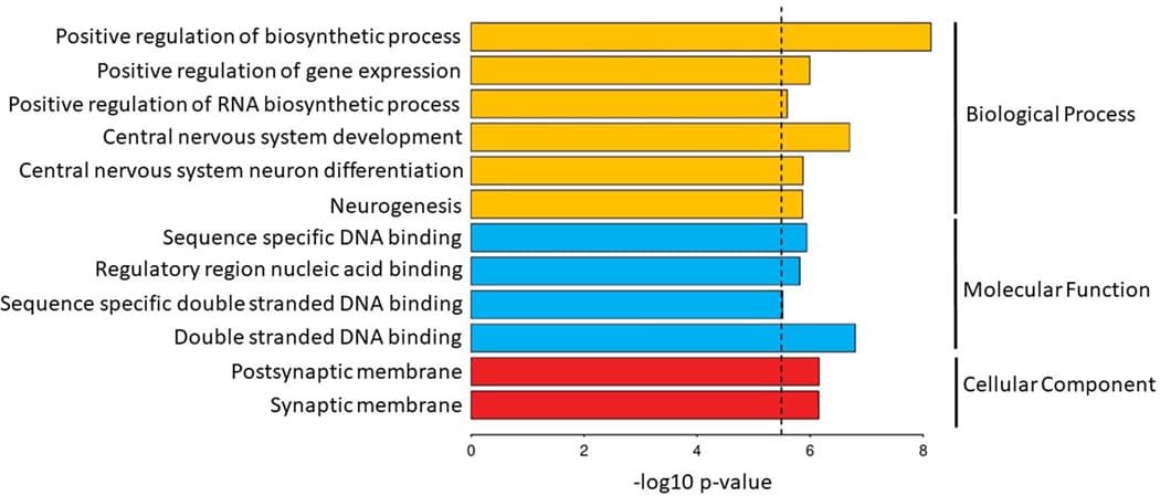 Extended Data Figure 3: Significant PTSD gene-sets.
