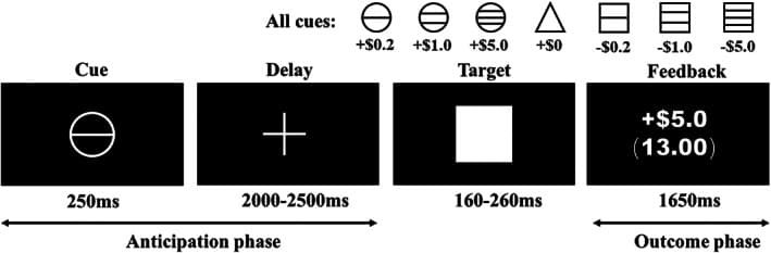 Fig. 1. Schematic representation of the MID task.
