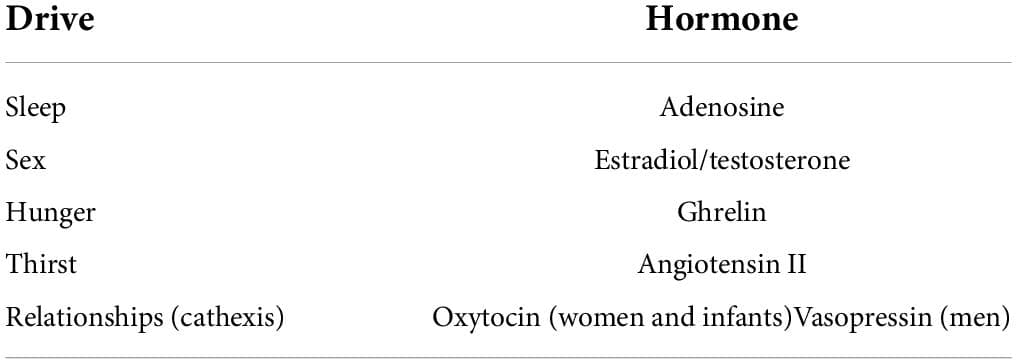 Table 1. Somatic sources of drive motivation (Johnson, 2008; Kirsch and Mertens, 2018; Kirsch and Buchholz, 2020).