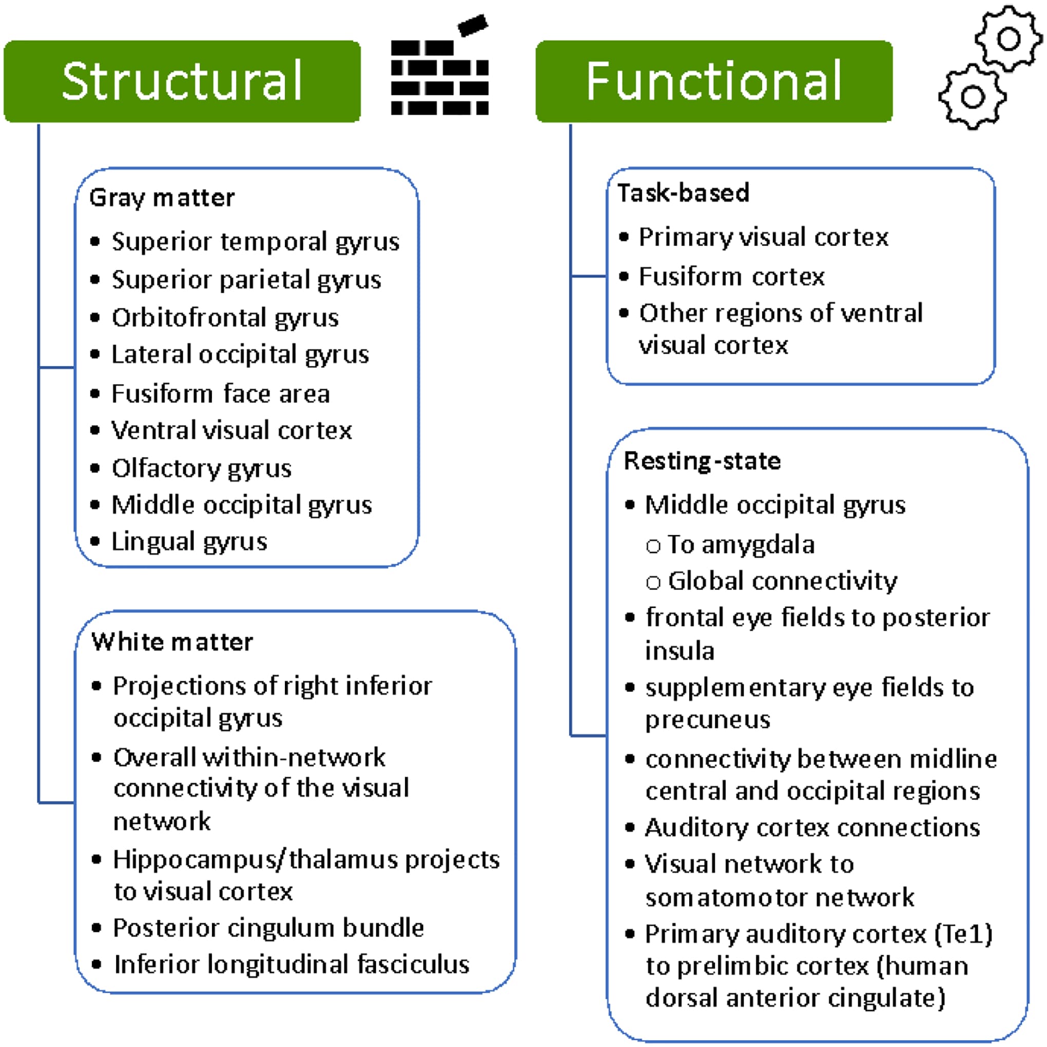Figure 2. Summary of Recently Implicated Brain Regions