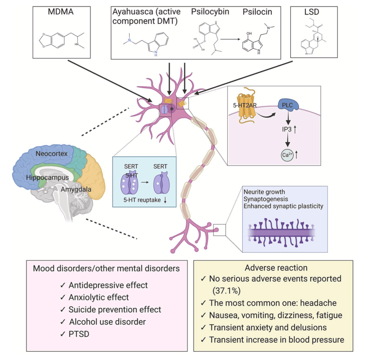 Fig. 7. Mechanisms of action and efficacy of psychedelics for mental disorders.