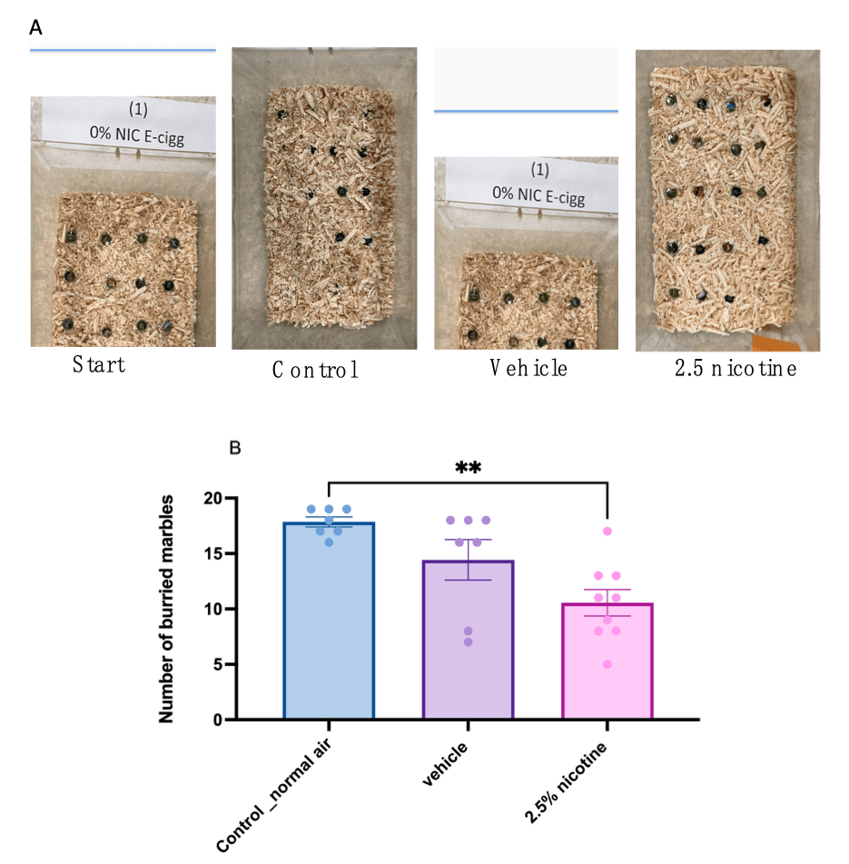 Figure 4. Marble-burying behavior among tested groups.
