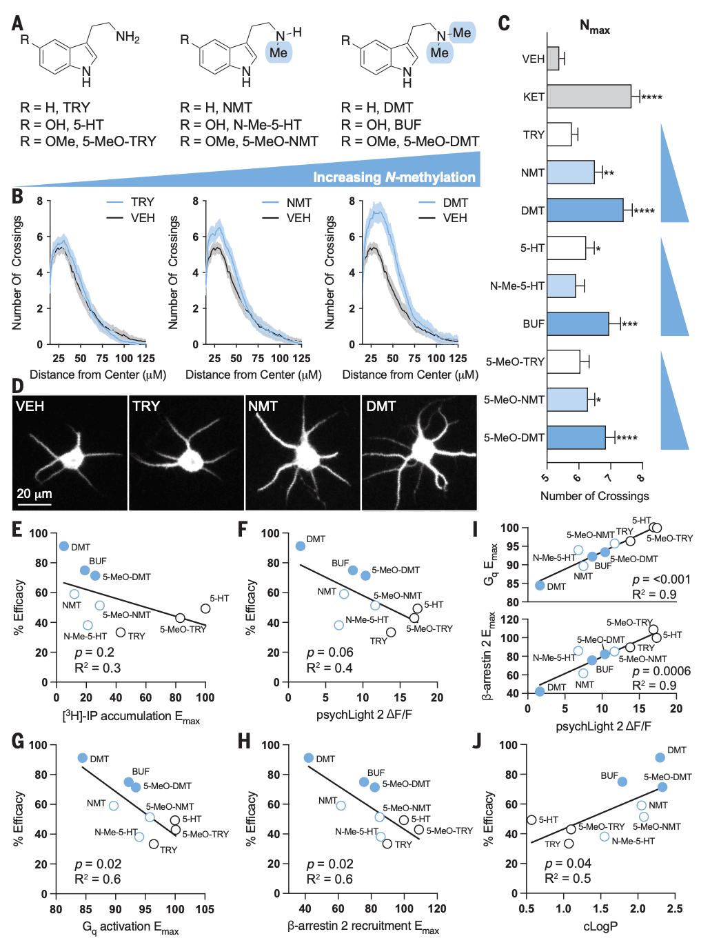 Fig. 1. Compound-induced neuronal growth correlates with ligand lipophilicity.