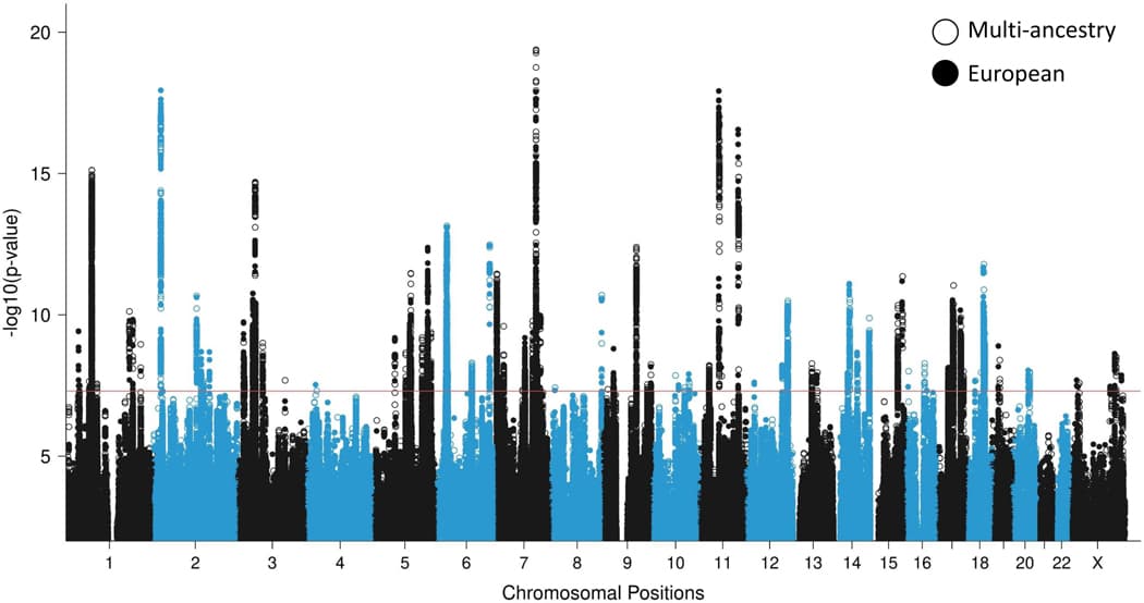 Figure 2 |. GWAS meta-analyses in European and multi-ancestry individuals identify a total of 95 PTSD risk loci.