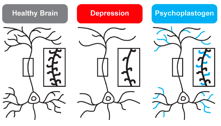 Figure 2.
