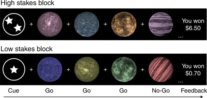 41467 2017 1369 Fig1 HTML