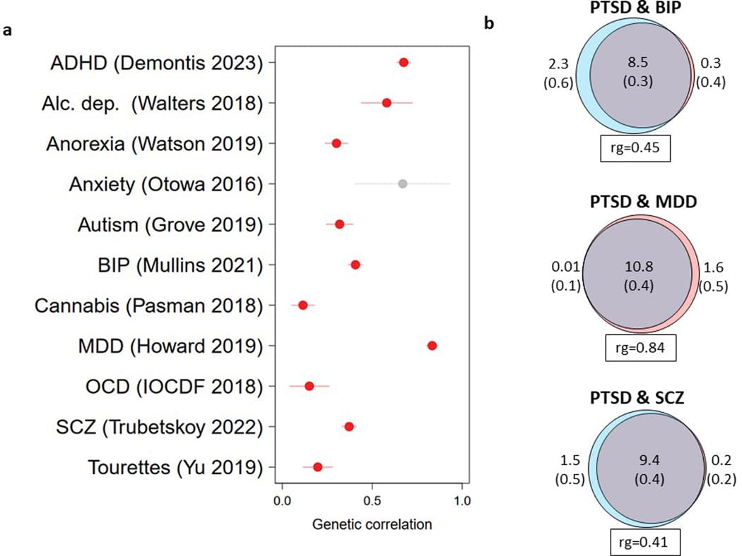 Extended Data Figure 7: Genetic correlations and polygenic overlap between PTSD and other psychiatric disorders.