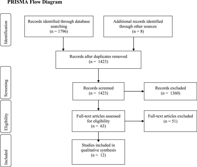 Fig. 1. Prisma flow diagram (summary of search strategy). The selection of studies was based on the principles of the PRISMA statement