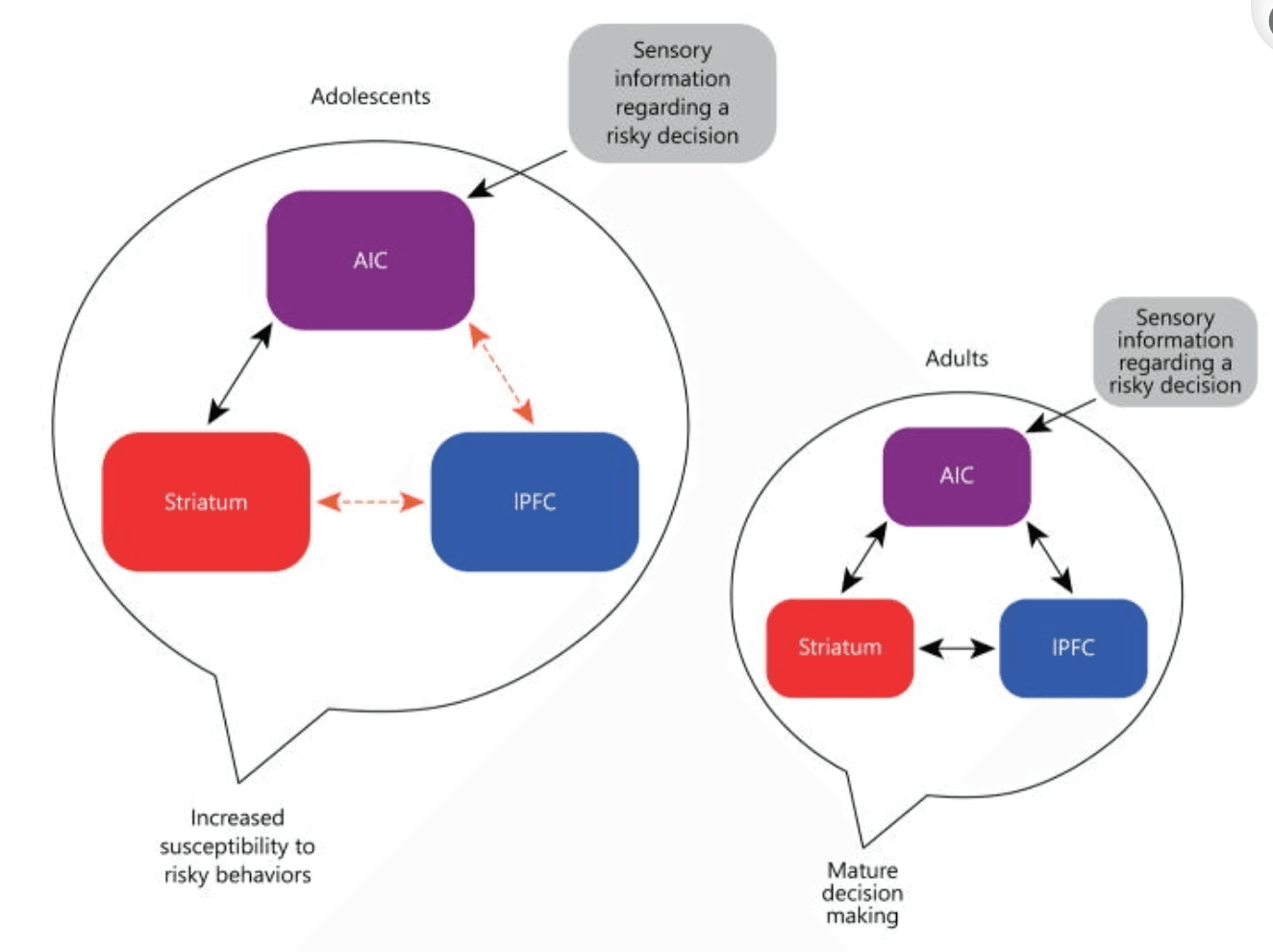 Screenshot 2024-06-04 at 10.31.21 AM