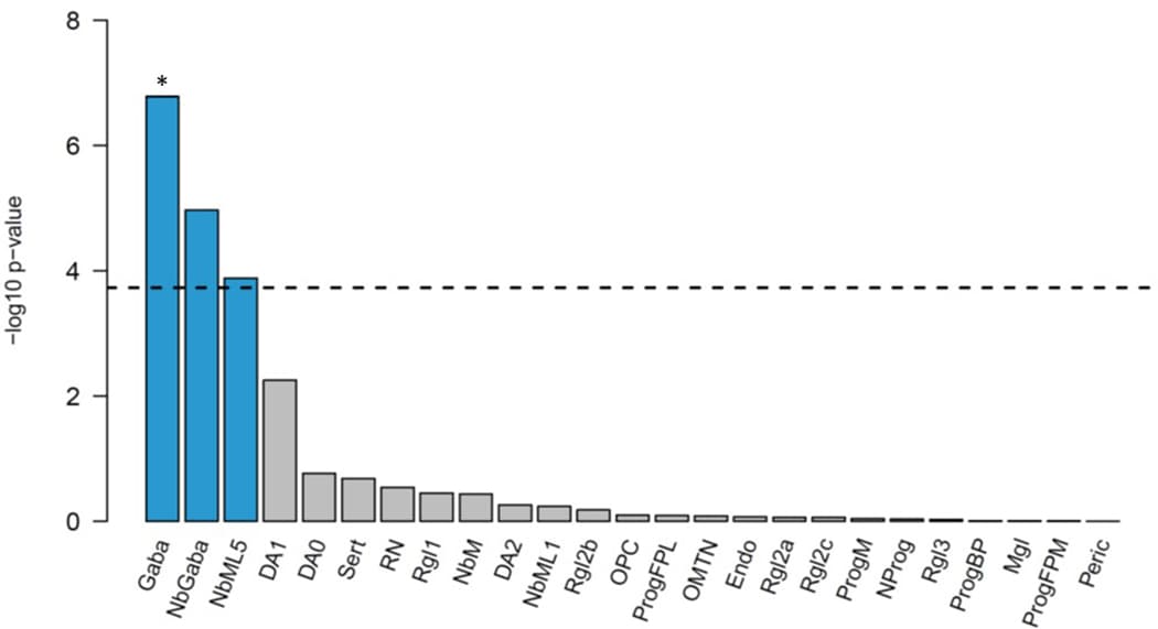 Extended Data Figure 5: MAGMA cell-type enrichment analysis in midbrain.