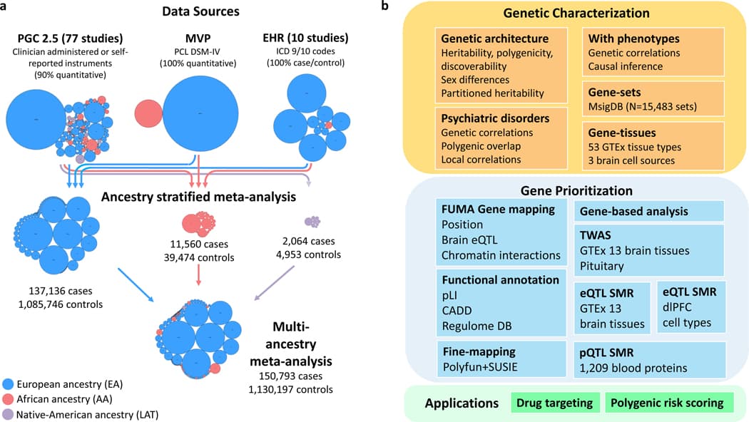 Figure 1 |. Data sources and analyses in PTSD Freeze 3.