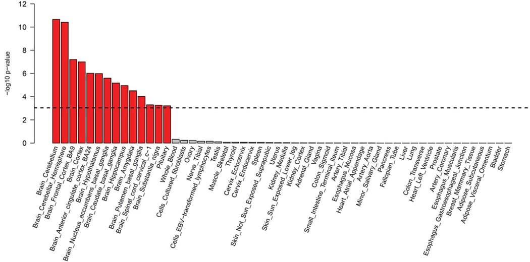Extended Data Figure 4: MAGMA tissue enrichment analysis.